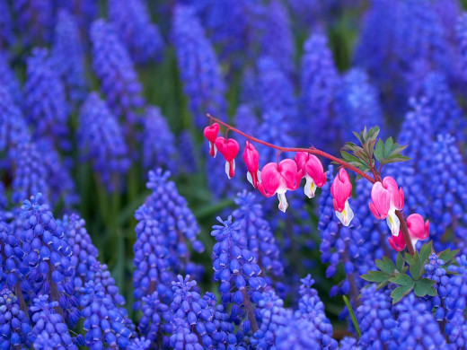 426198 (a): :1600x1200